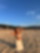 610756176
