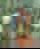 613603902