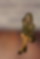 644602065