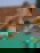 602501255