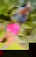 602417249
