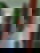 673721413