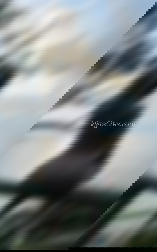 Ainara Cadavid, hermosa trans colombiana. 611279967. Citas en VIGO, VIGO. www.vigocitas.com.