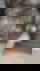 611246029