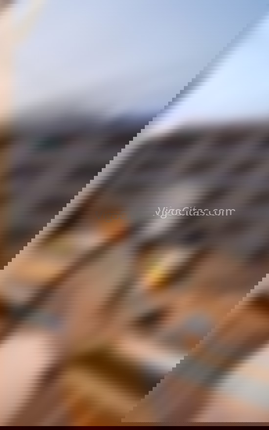 Shantal cercana y simpática. 613845667. Citas en VIGO, VIGO. www.vigocitas.com.