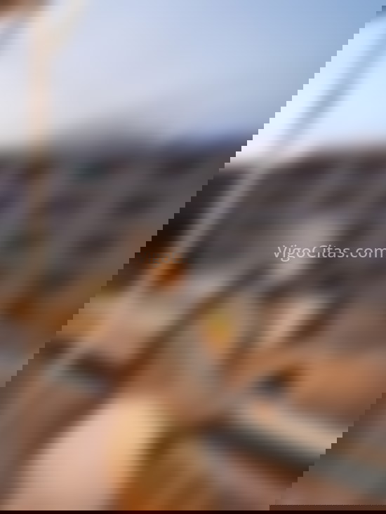 Shantal cercana y simpática. 613845667. Citas en VIGO, VIGO. www.vigocitas.com.